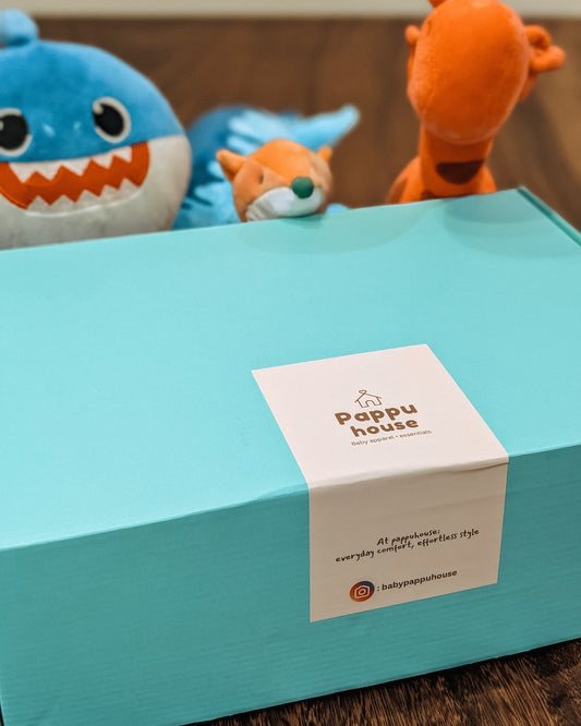 Newborn Mystery Gift Box - Signature